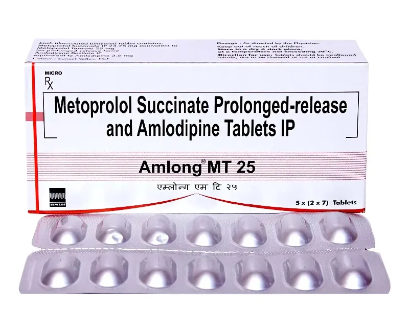 Amlong MT Tablets