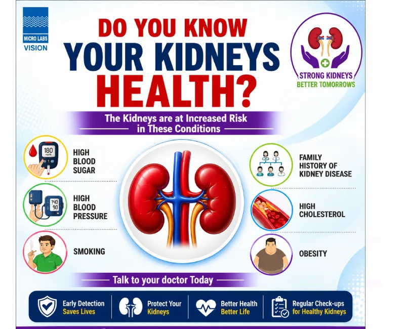 Kidney Health: Protect Your Kidneys, Protect Your Life