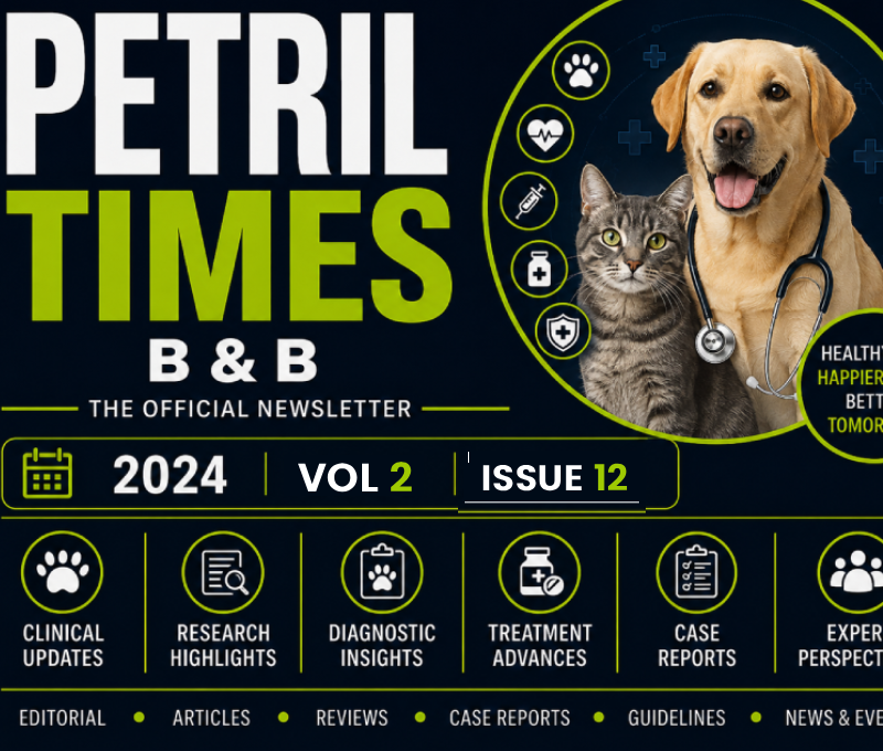 PETRIL TIMES – Volume 2 Issue 12 (2023)