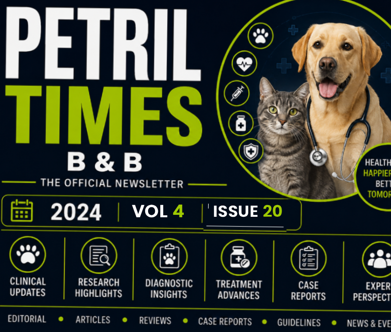 PETRIL TIMES – Volume 4 Issue 20 (2025)